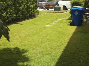 Peter A.'s Lawn Service service result