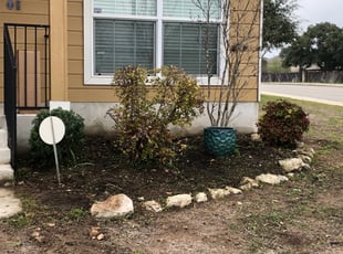 Weeding by Juan Vazquez for Julia N. in San Antonio, TX