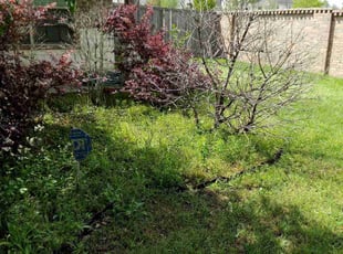 Weeding by Daniel Campos for Alex S. in Humble, TX