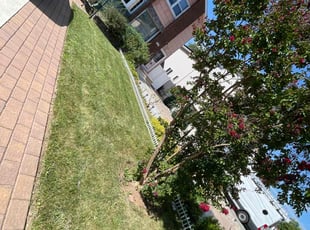 PaulTudisco t.'s Lawn Mowing service result