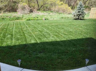 Deborah M.'s Lawn Maintenance service result