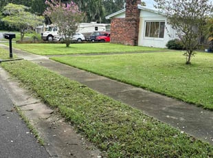 Darrell S.'s Lawn Mowing Service service result