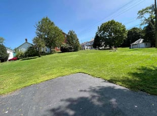 Frank T.'s Lawn Mowing Service service result