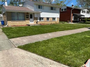 Ronald C.'s Lawn Care service result