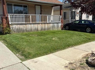 Liza R.'s Lawn Maintenance service result