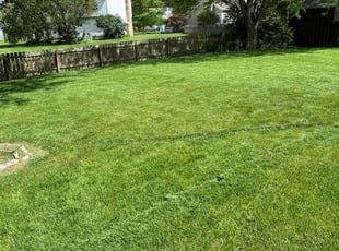 Chris C.'s Lawn Mowing Service service result