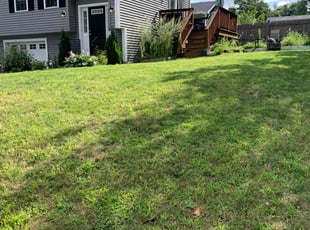 Kyle m.'s Lawn Mowing Service service result