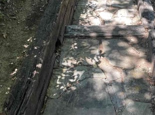 Cleanups by Christopher Hernandez for Travis P. in Arlington, TX
