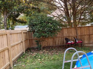 Bush Trimming by Taylor Dodson for Rebecca P. in Virginia Beach, VA