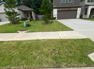 Colleen G.'s Lawn Mowing service result