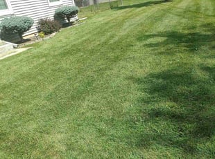 Ryan M.'s Lawn Care service result