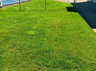 Marsha S.'s Lawn Mowing Service service result