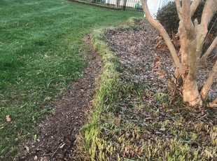 Ashley J.'s Landscaping service result