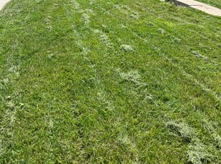 David R.'s Lawn Care service result