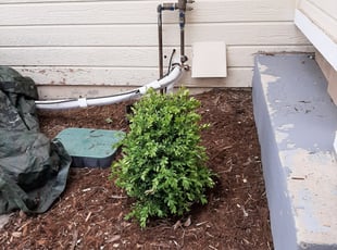Landscaping by John Bledsoe for Caitlin K. in Highlands Ranch, CO