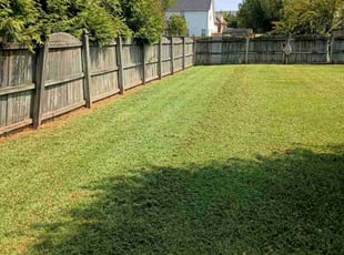 Chad W.'s Lawn Maintenance service result