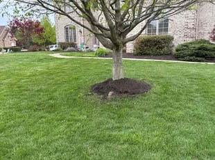 Bush Trimming by Luis Contreras for Jim H. in Fortville, IN