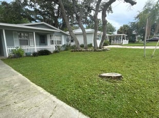 Marina I.'s Lawn Care service result
