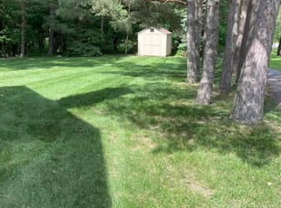 Peter H.'s Lawn Maintenance service result