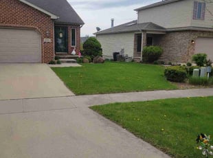 George L.'s Grass Cutting service result