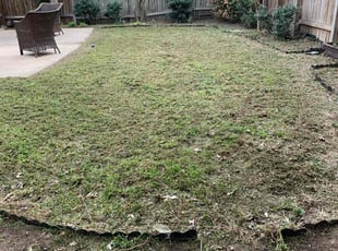 Leaf Removal by Pablo Gonzalez for Patricia E. in Austin, TX
