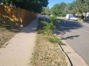 Weeding by Jessie Martinez for Regina T. in Aurora, CO