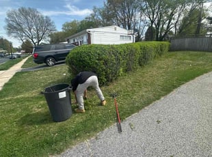 Bush Trimming by Walter Ălvarez for D M. in Randallstown, MD