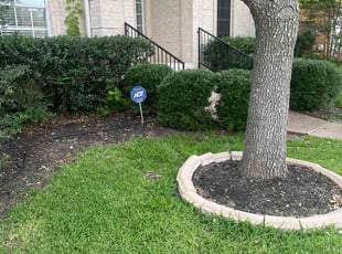 Bush Trimming by Timetrius Williams for Hui Z. in Austin, TX