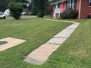 Niharika J.'s Lawn Care service result