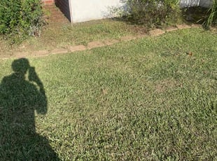 Weeding by Carl George for Chris H. in Walker, LA