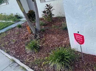 Weeding by Zach Hinkle for Ross F. in Cape Coral, FL
