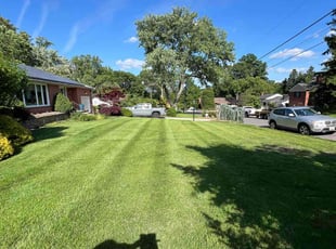 Lois G.'s Lawn Maintenance service result