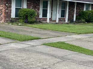 Bush Trimming by Carl George for Vanisha A. in Baton Rouge, LA