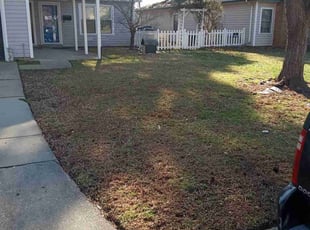 Leaf Removal by Debbie Carper for Blake S. in Virginia Beach, VA