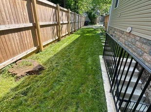 Curt A.'s Yard Cutting service result
