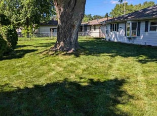 Shashank G.'s Lawn Maintenance service result