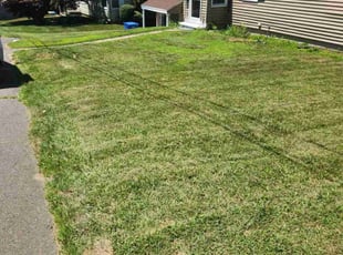 Charlene M.'s Grass Cutting service result