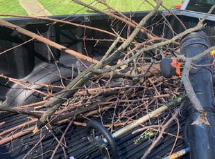 Cleanups by Dylan Butler for Harry H. in Cincinnati, OH