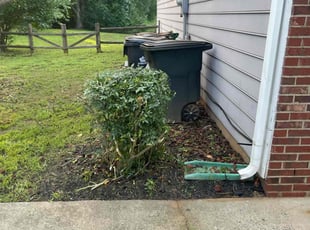 Bush Trimming by Ronald Martin for Millicent S. in Charlotte, NC