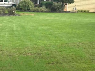 Rori L.'s Yard Cutting service result