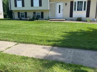Tim S.'s Lawn Mowing service result