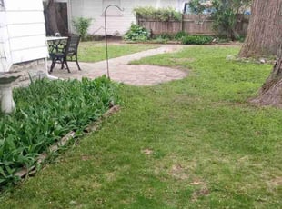 Leaf Removal by Rolf Johnson for Margaret B. in Minneapolis, MN