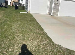 Barbara B.'s Yard Cutting service result
