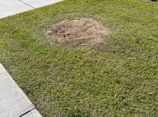 Landscaping by Jake Anderson for Reginald G. in Gonzales, LA