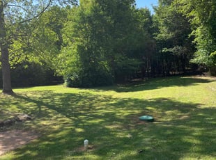 Allison S.'s Yard Cutting service result