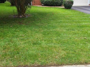 Linda S.'s Yard Cutting service result