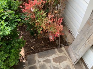 Leaf Removal by Jordan Smith for Joshua R. in Tulsa, OK