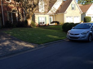 Bush Trimming by Peter Coke for Kerri T. in Marietta, GA
