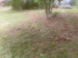 Cleanups by Michael Balback for David G. in Pennsville Township, NJ