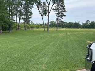 Robert H.'s Lawn Care service result